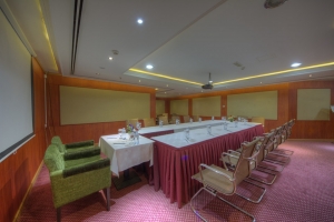 Conference Room (2)