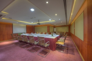 Conference Room (3)